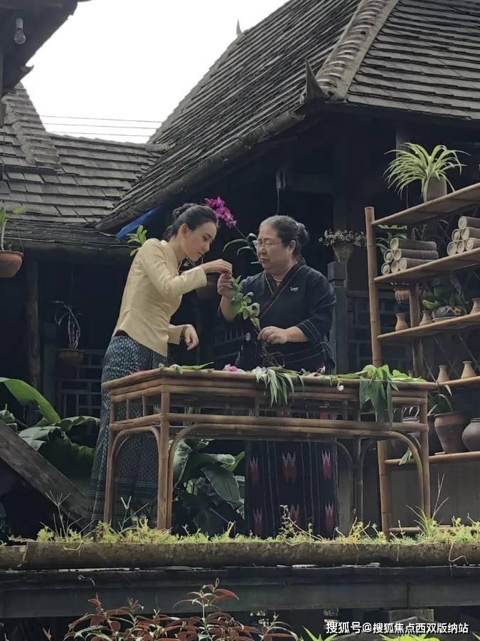 吸引百万网民在线观看！第十四届“泰州网民春晚”精彩上演