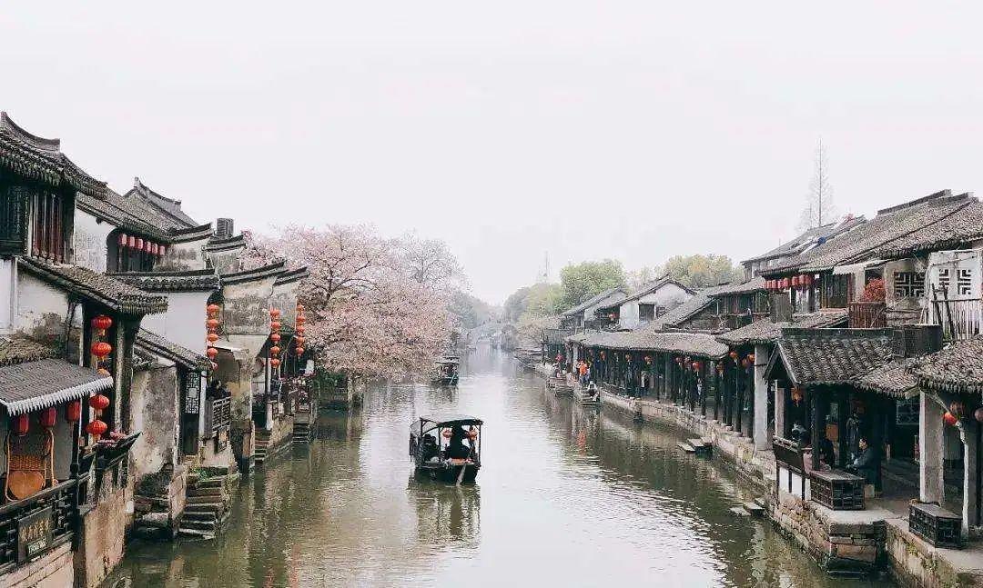 单身狗大作战